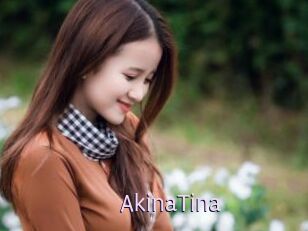 AkinaTina