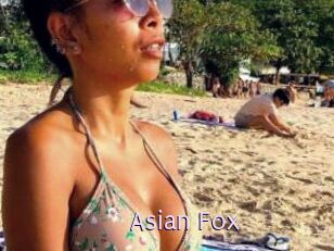 Asian_Fox