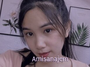 Amisanajem