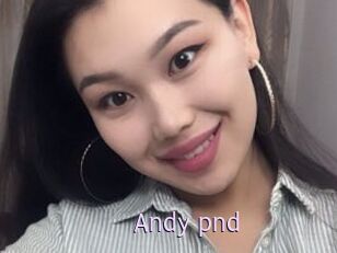 Andy_pnd