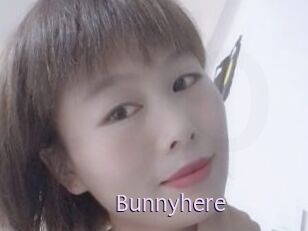 Bunnyhere