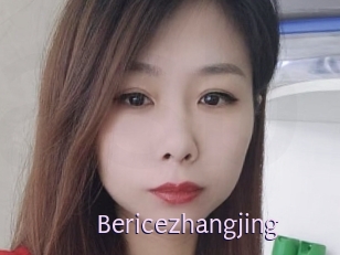 Bericezhangjing