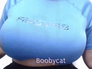 Boobycat