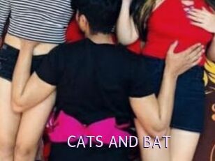 CATS_AND_BAT