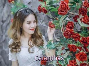 Calanthas