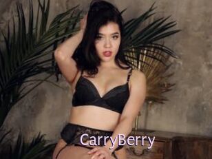 CarryBerry