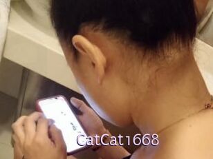 CatCat1668