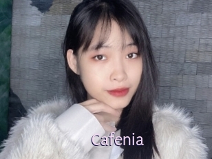 Cafenia