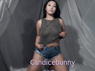 Candicebunny