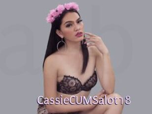CassieCUMSalot18