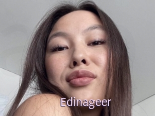 Edinageer