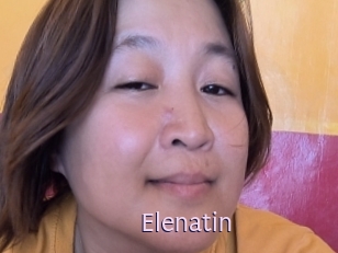 Elenatin
