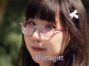 Elvinagitt
