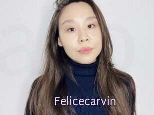 Felicecarvin