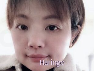 Haringo