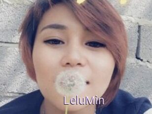 LeluMin