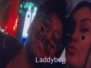 Laddybug
