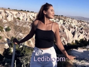 Ledibloom