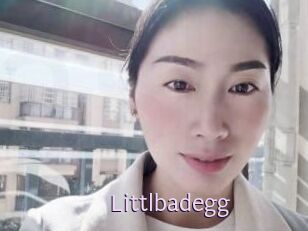 Littlbadegg