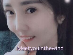 Meetyouinthewind