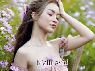 NiallDavid