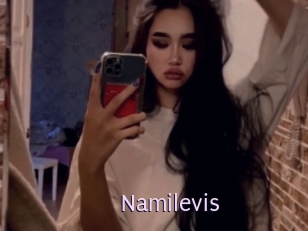 Namilevis