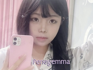Penegemma