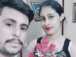 Rajuandsumi
