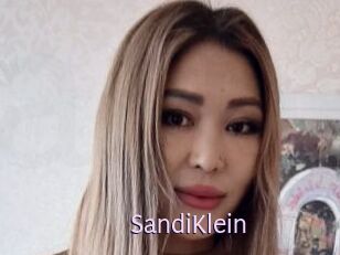 SandiKlein