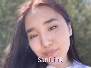 SaniLink