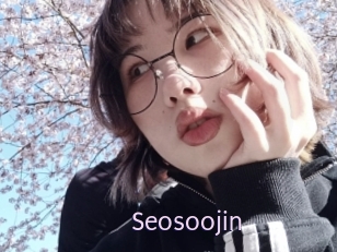 Seosoojin