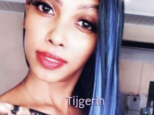 Tijgerin