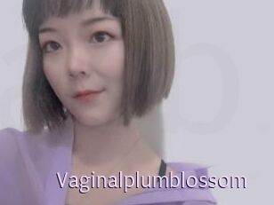 Vaginalplumblossom
