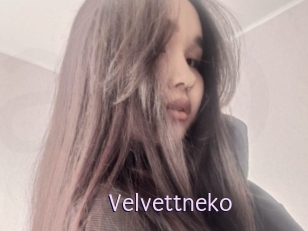 Velvettneko