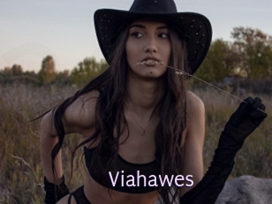 Viahawes