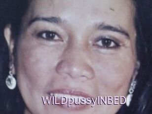 WILDpussyINBED