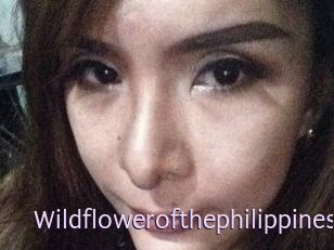 Wildflowerofthephilippines