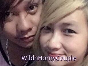 WildnHornyCouple