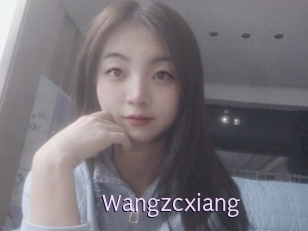 Wangzcxiang