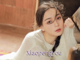 Xiaopengyou