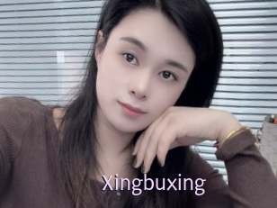 Xingbuxing