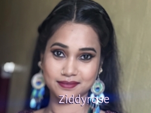 Ziddyrose